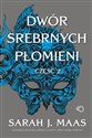 Dwór srebrnych płomieni Dwór cierni i róż tom 4, część 2 bookstore