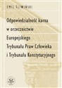 Odpowiedzialność karna w orzecznictwie Europejskiego Trybunału Praw Człowieka i Trybunału Konstytucyjnego  - Polish Bookstore USA