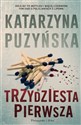 Trzydziesta pierwsza. Lipowo. Tom 3 wyd. 2022 - Katarzyna Puzyńska