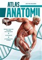 Atlas anatomii buy polish books in Usa