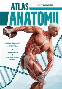 Atlas anatomii buy polish books in Usa