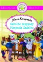 Szkolne przygody Pimpusia Sadełko Lektury dla klas 1-3 Polish Books Canada
