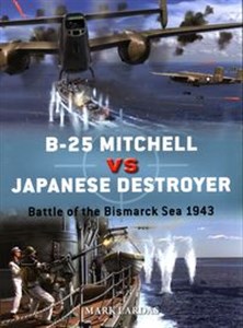 B-25 Mitchell vs Japanese Destroyer Battle of the Bismarck Sea 1943 Bookshop