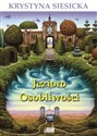 Jezioro Osobliwości Polish bookstore