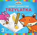 Zabawy edukacyjne trzylatka polish books in canada