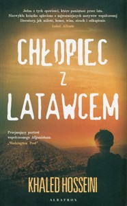 Chłopiec z latawcem in polish