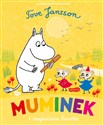 Muminek i zaginiona luneta - Tove Jansson