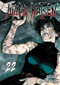 Jujutsu Kaisen. Tom 22 to buy in Canada