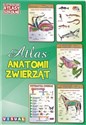 Ilustrowany atlas szkolny. Atlas anatomii zwierząt - Opracowanie Zbiorowe