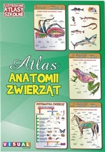 Ilustrowany atlas szkolny. Atlas anatomii zwierząt books in polish