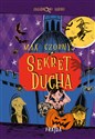 Sekret ducha buy polish books in Usa