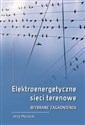 Elektroenergetyczne sieci terenowe Polish Books Canada