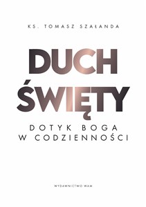 Duch Święty Dotyk Boga w codzienności pl online bookstore