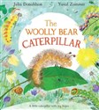 The Woolly Bear Caterpillar to buy in USA