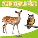 Zwierzęta leśne pl online bookstore