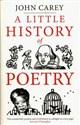 A Little History of Poetry - Polish Bookstore USA