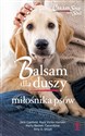 Balsam dla duszy miłośnika psów - Mark Victor Hansen, Jack Canfield, Marty Becker, Carol Kline, Amy D. Shojai