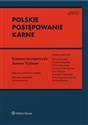 Polskie postępowanie karne pl online bookstore
