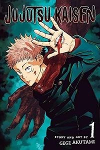 Jujutsu Kaisen Volume 1  books in polish