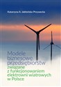 Modele biznesowe przedsiębiorstw związane z funkcjonowaniem elektrowni wiatrowych w Polsce - Polish Bookstore USA