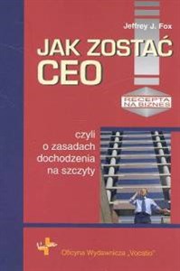 Jak zostać CEO czyli o zasadach dochodzenia na szczyty polish books in canada