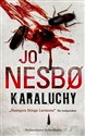 Karaluchy - Jo Nesbo  