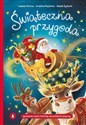Świąteczna przygoda  buy polish books in Usa