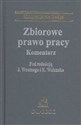 Zbiorowe prawo pracy Komentarz  - 