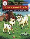 Poznańskie koziołki - Łukasz Zabdyr books in polish