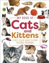 My Book of Cats and Kittens -  pl online bookstore