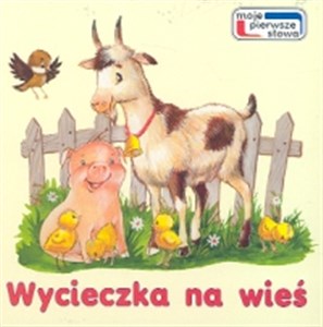 Wycieczka na wieś  buy polish books in Usa