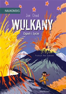 Wulkany Ogień i życie Polish Books Canada