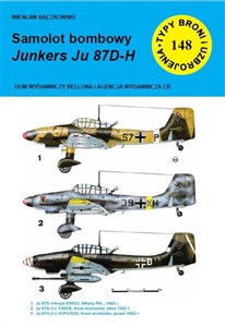 Samolot bombowy Junkers JU 87D-H polish usa