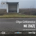 CD MP3 Nie zdążę  polish usa