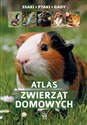 Atlas zwierząt domowych chicago polish bookstore