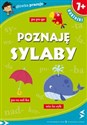 Główka pracuje Poznaję sylaby polish books in canada