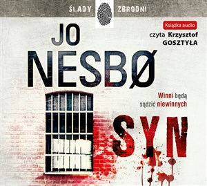 [Audiobook] Syn in polish