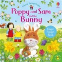 Poppy and Sam and the Bunny  