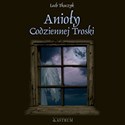 Anioły codziennej troski z płytą CD books in polish