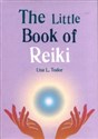 The Little Book of Reiki  