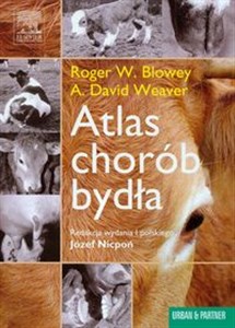 Atlas chorób bydła polish usa