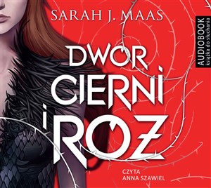 [Audiobook] Dwór cierni i róż  