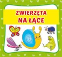 Zwierzęta na łące książeczka harmonijka  
