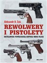 Pistolety i rewolwery  