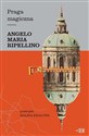 Praga Magiczna - Angelo Maria Ripellino