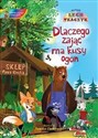 Dlaczego Zając ma kusy ogon Bajka edukacyjna dla dzieci bookstore