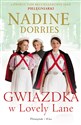 Gwiazdka w Lovely Lane - Polish Bookstore USA
