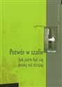 Potwór w szafie Jak jutro bać się mniej niż dzisiaj Polish bookstore