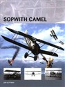 Sopwith Camel - Jon Guttman