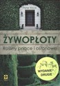 Żywopłoty Rośliny pnące i osłonowe  